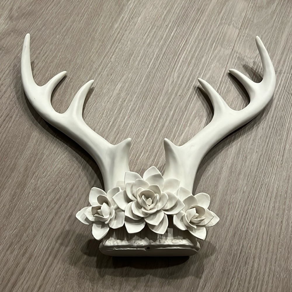 Antler Wall Hang